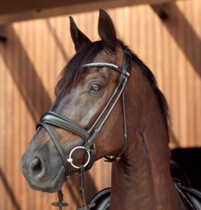 HG AVA TRÄNS RUNDSYTT SVART