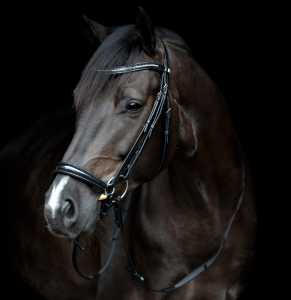 HG CRYLL 24.1 REMONTTRÄNS