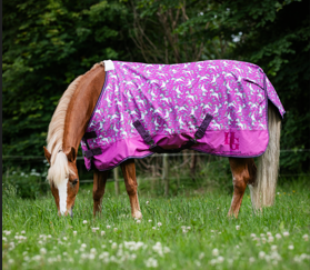 HG JOSH TURNOUT RUG 0 G