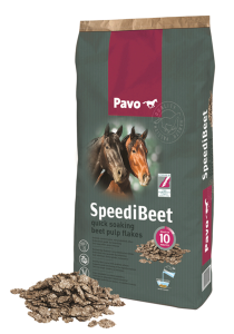PAVO SPEEDIBEET