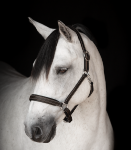 LIPPO SUPREME LÄDERGRIMMA