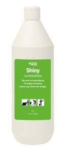 Activa Shiny Allrent