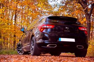 Elite Auto Longlife 0W/30