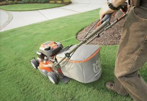 Elite SG/CD 30W 20L-Elite Oil