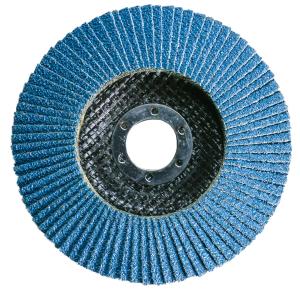 Flap Disc Lamellrondell 125 x 22,23