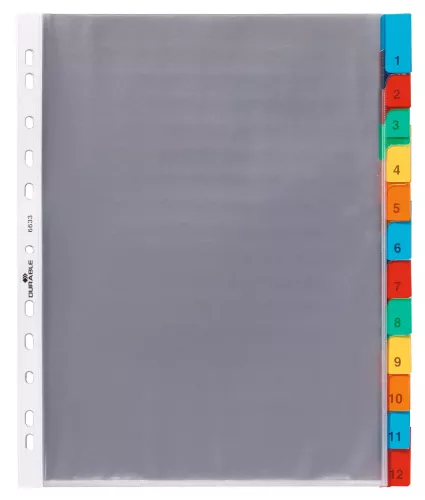 Plastficksregister 12 flikar