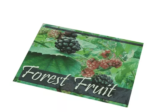 Doftmatta Forest Fruit 60×80 cm – fräschdoftande entrématta som neutraliserar lukt och fångar smuts i hygienutrymmen och entréer