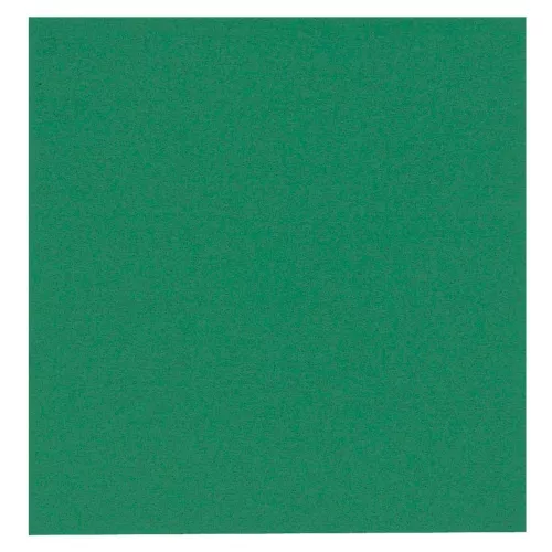 Grön 1-lags servett Gastro 33x33 cm – praktisk pappersservett för restaurang och café, 250-pack