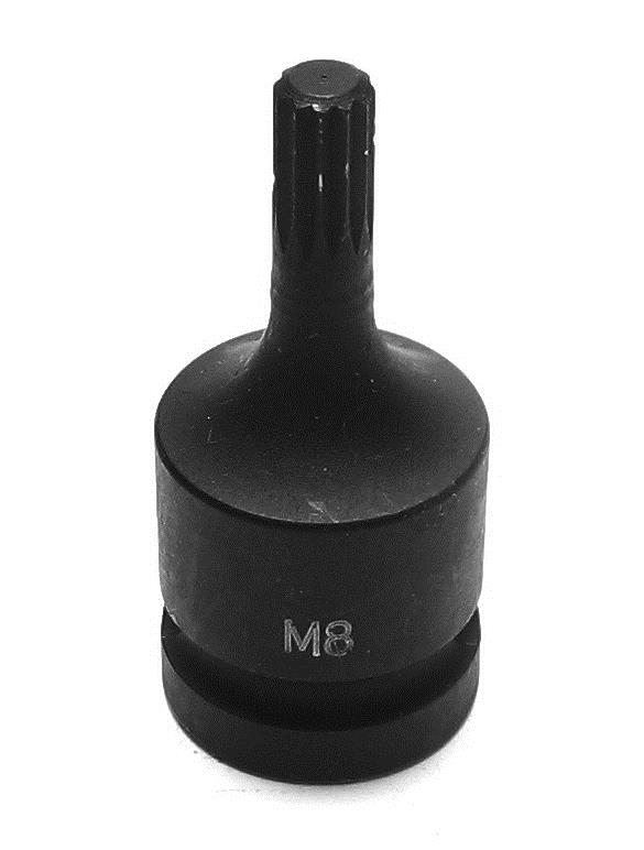 Hylsa 1/2" x M6 XZN 12-tand