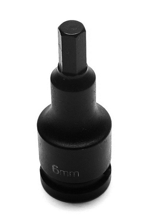 Hylsa 1/4 x 10 Insex