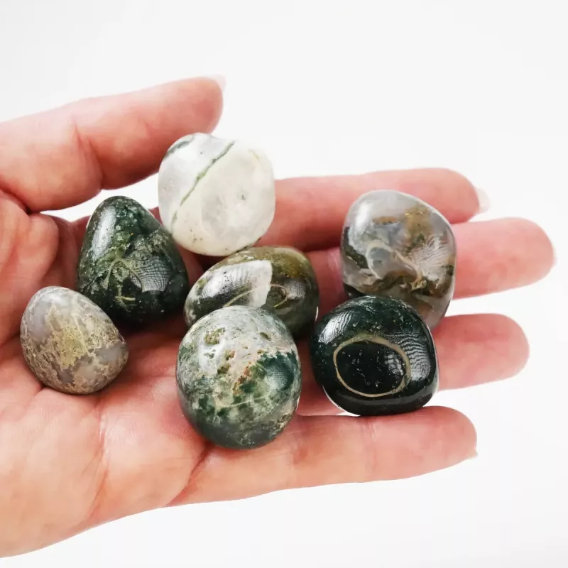 Krystall Polert Mossagat