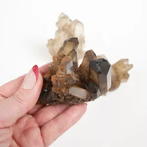 Krystall Røykkvarts Kluster