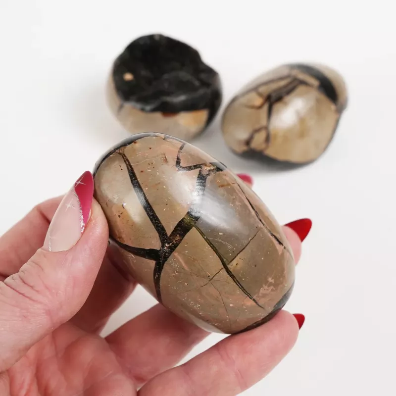 Kristall Septarian Drakägg Geod