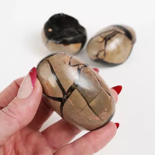 Kristall Septarian Drakägg Geod