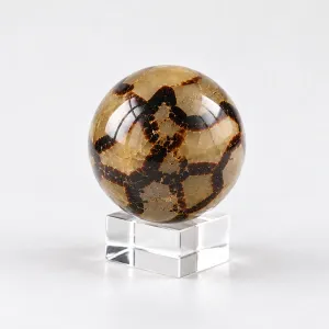 Kristall Klot Septarian