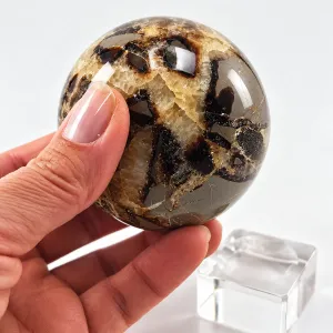 Krystall Kule Septarian