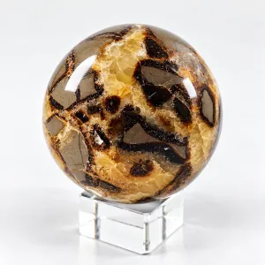 Krystall Kule Septarian