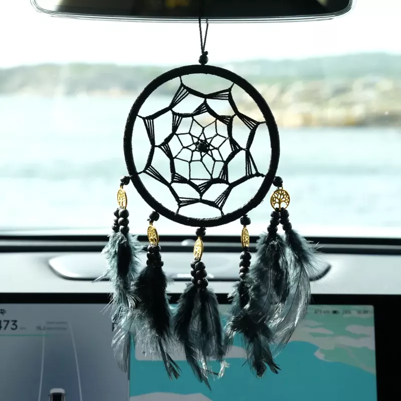 Drömfångare Lyckomynt Svart