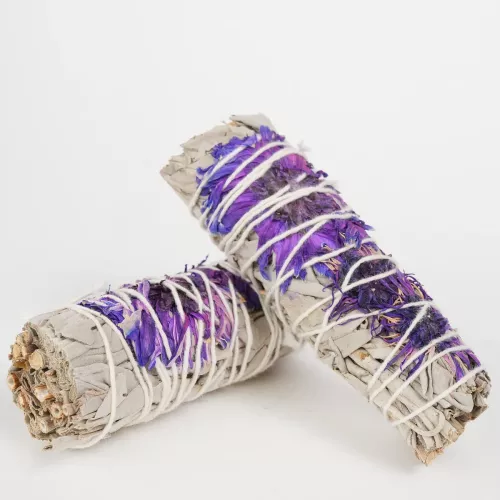 Smudge Blåklint Salvia