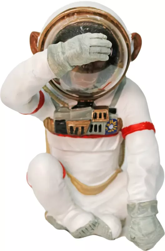 iOne Art Space Monkey