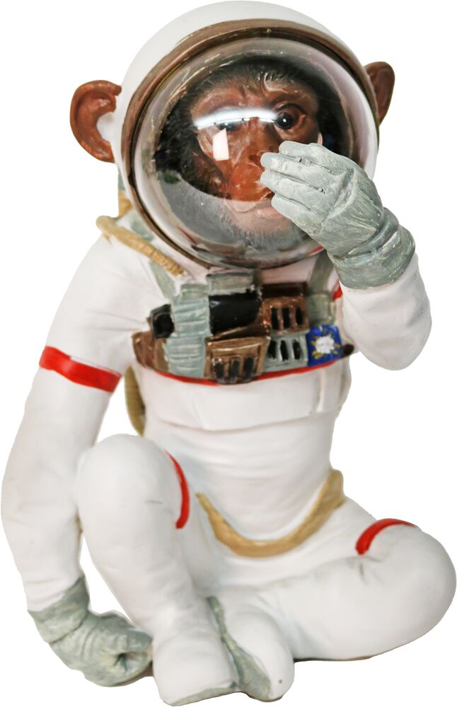 iOne Art Space Monkey