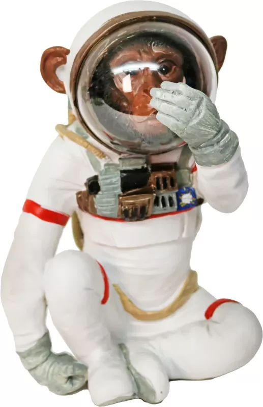 iOne Art Space Monkey