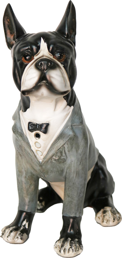 iOne Art Dog with Clothes