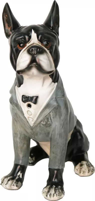 iOne Art Dog with Clothes