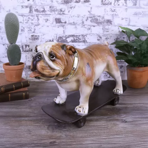 iOne Art Dog on Skateboard