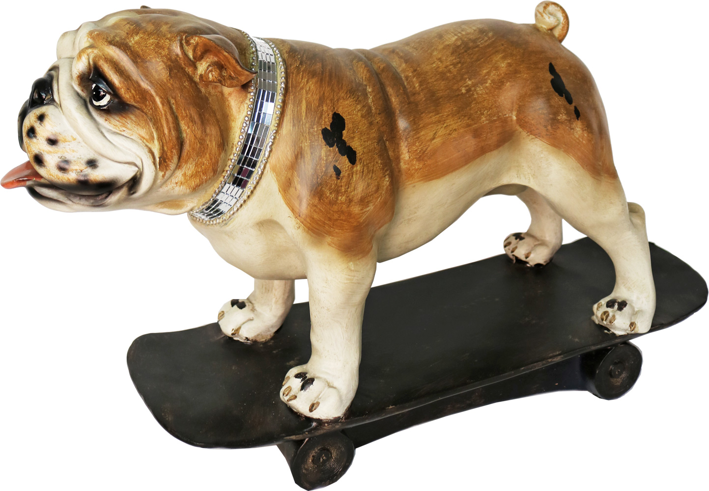 iOne Art Dog on Skateboard