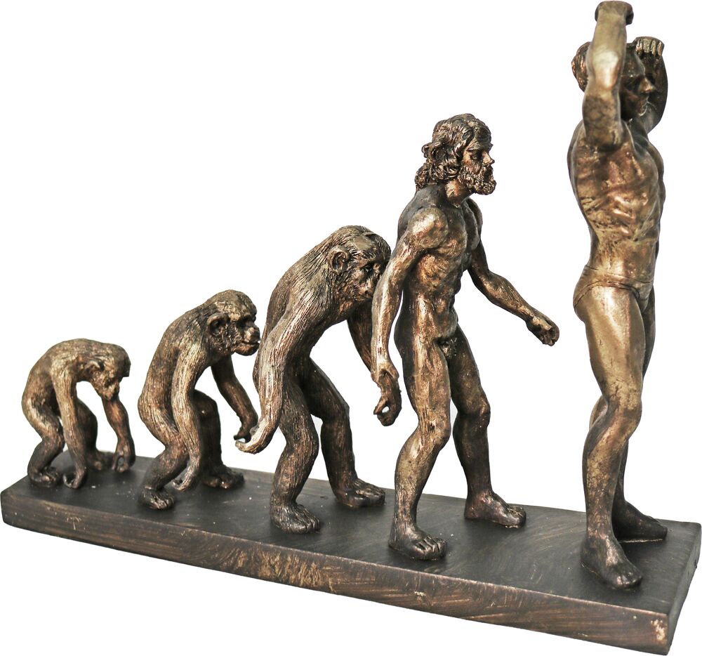 iOne Art Human Evolution Of Man