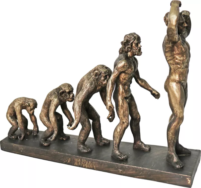 iOne Art Human Evolution Of Man