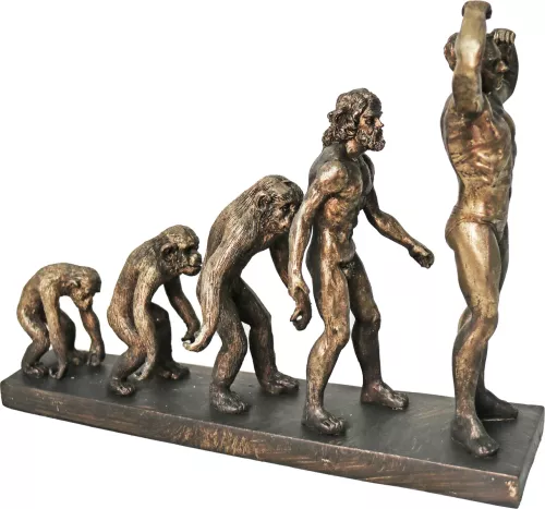 iOne Art Human Evolution Of Man