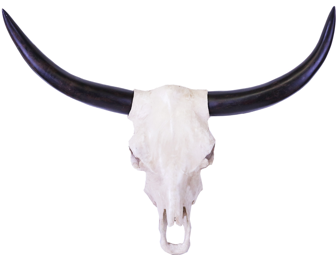 iOne Art Cow Skull
