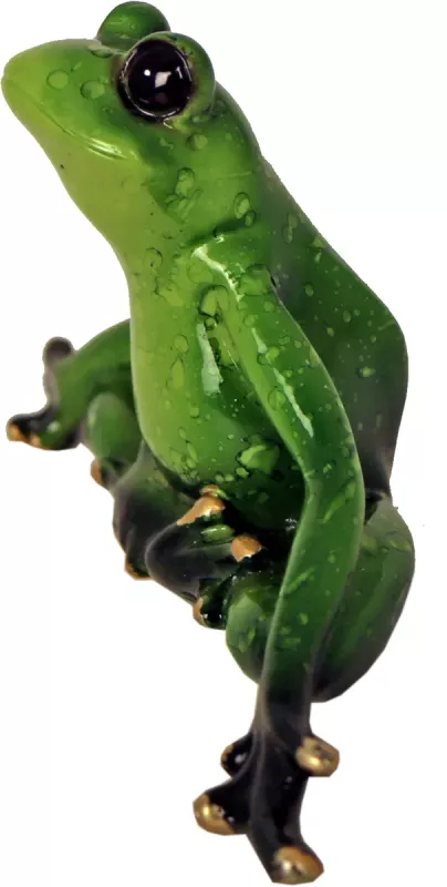 Frosk Sittende