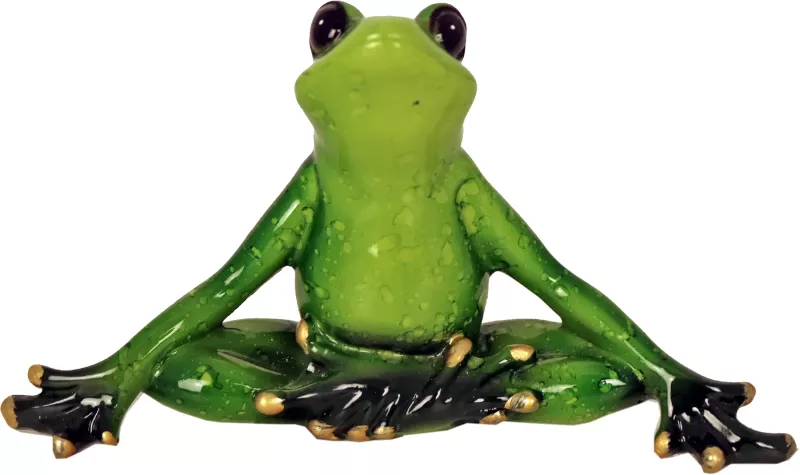 Frosk Sittende
