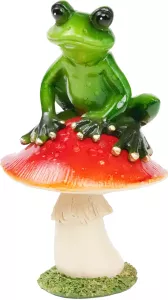 Groda Sittrer på Svamp