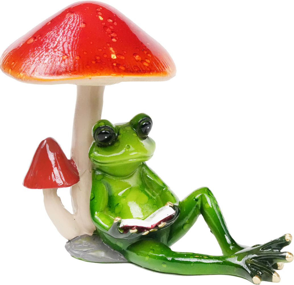 Frosk Leser Bok under Sopp