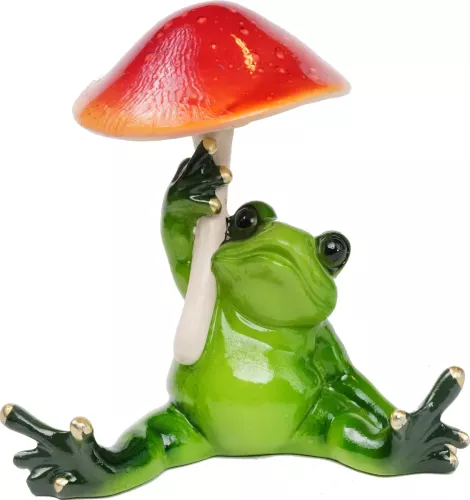 Groda med Svamp