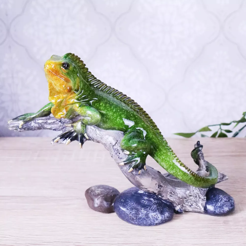 Øgle Iguana