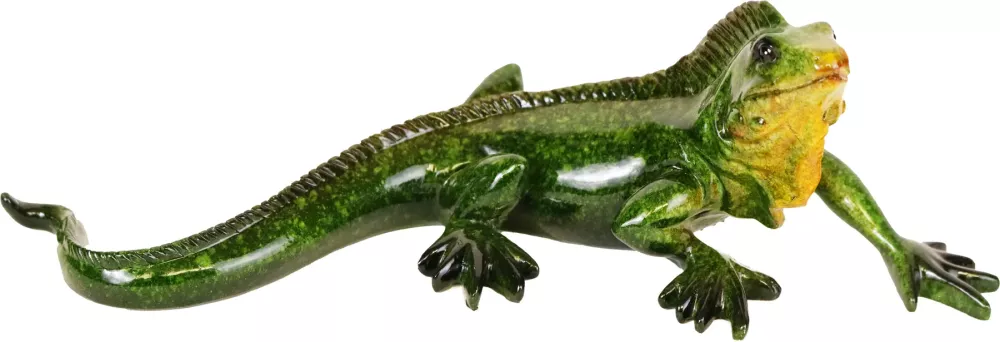 Øgle Iguana
