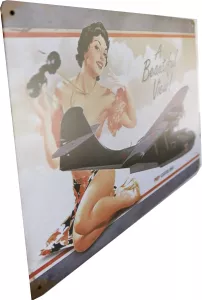 Tavla Plåtskylt Retro