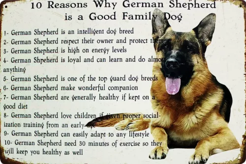 Tavla Plåtskylt Retro