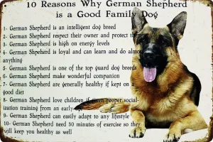 Tavla Plåtskylt Retro