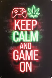 Tavla Plåtskylt Retro Game On