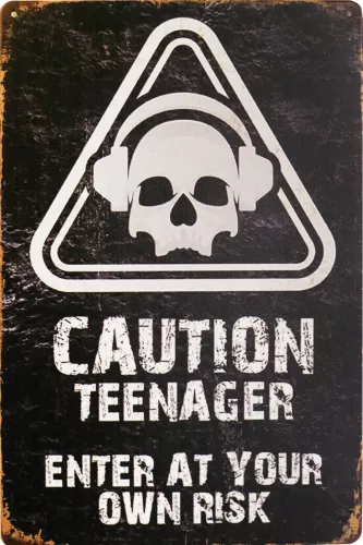 Tavla Plåtskylt Retro Teenager