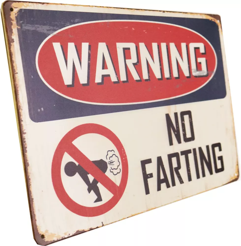 Metallskilt Retro No Farting