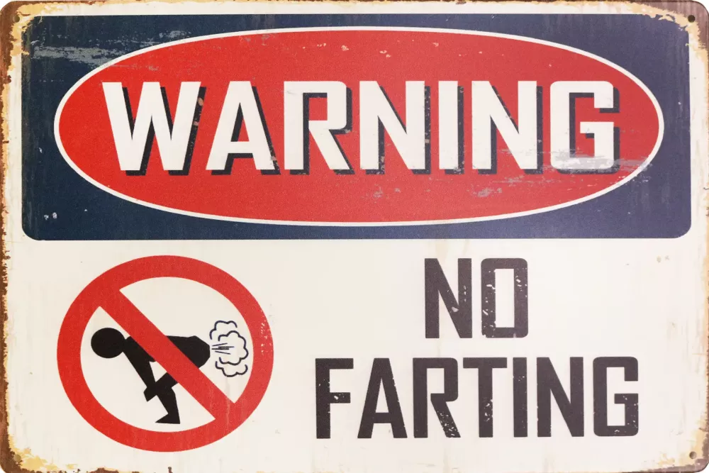 Metallskilt Retro No Farting