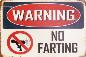 Metallskilt Retro No Farting