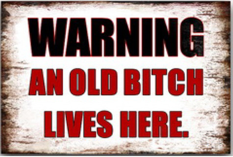 Tavla Plåtskylt Retro Old Bitch